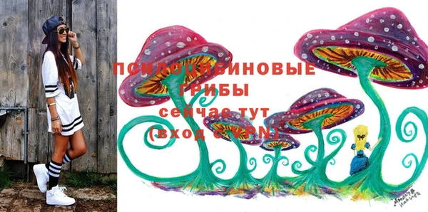 ECSTASY Коряжма