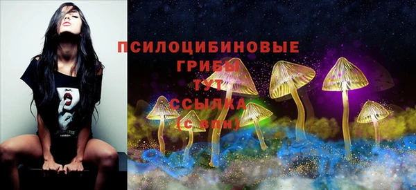 МДМА Костерёво