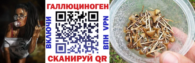 Псилоцибиновые грибы Cubensis Бокситогорск